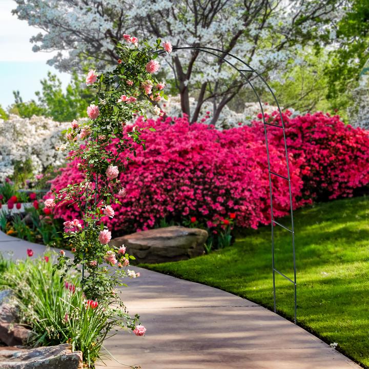 Immagine prodotto Relaxdays Traliccio ad arco (38 cm, 140 cm)