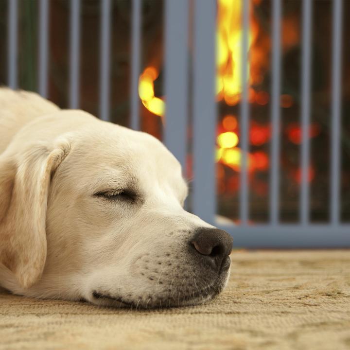 Actual product image Relaxdays Fairy door