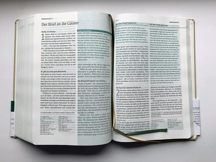 Actual product image Die Bibel mit Impulsen von Joyce Meyer, Kunstlederausgabe (German, Joyce Meyer, 2024)