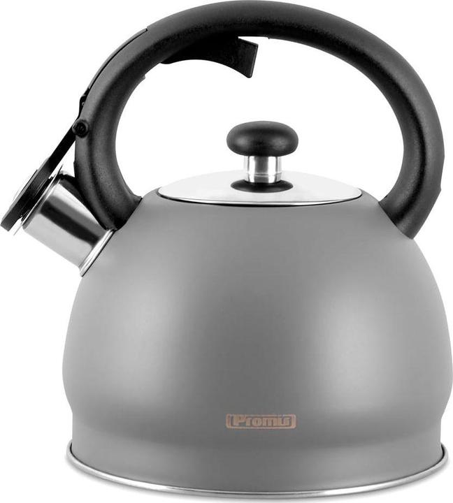 Actual product image Nenurodyta / N TMC11G PROMIS kettle 2.0 l, MATEO, gray (2 l)