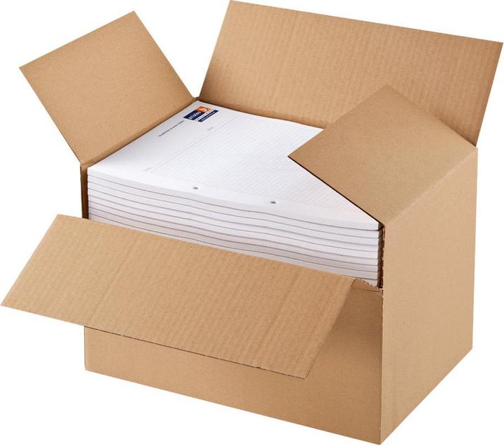 Actual product image Colompac Flash bottom cardboard, for DIN A4 formats, brown (1 pcs.)