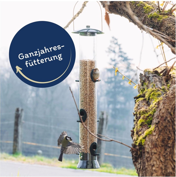 Produktbild Lyra Pet Sonnenblumenkerne geschält (1 x, 25 kg)