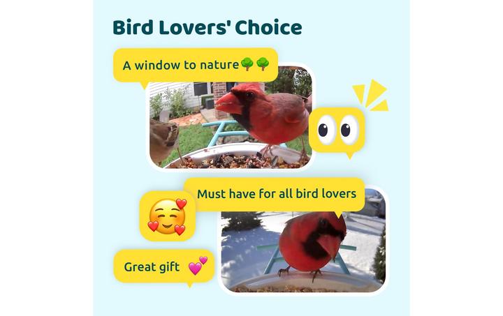 Produktbild Birdfy Futterspender Basic Solar