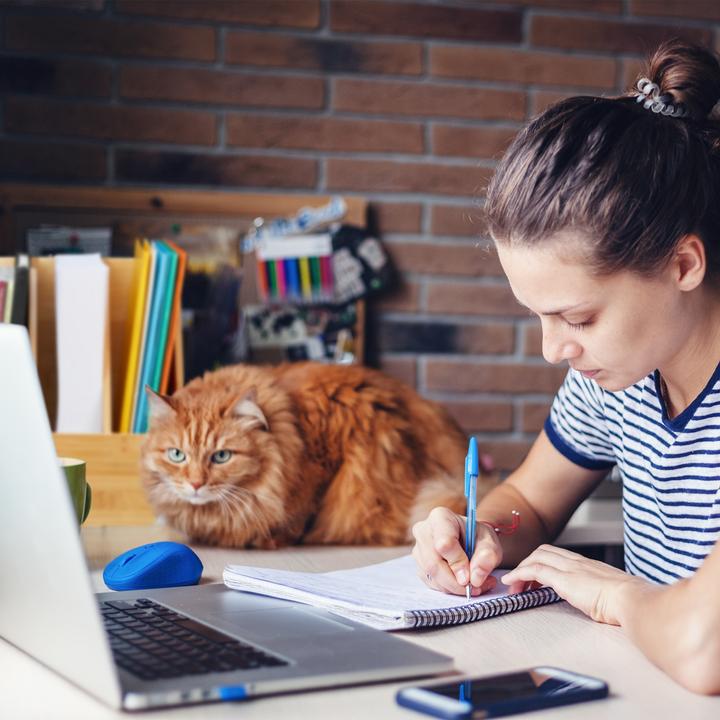 Actual product image Relaxdays Stehsammler (A4)