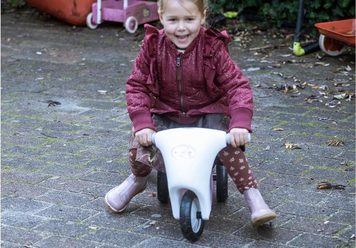 Produktbild dantoy Scooter Pink