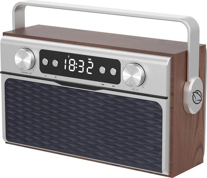 Manta RDI917PRO (FM, Bluetooth)