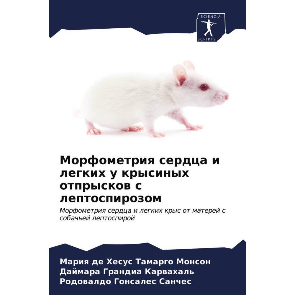 Morfometriq serdca i legkih u krysinyh otpryskow s leptospirozom, Fachbücher von Dajmara Grandia Karwahal', Rodowaldo Go...