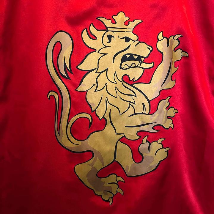 Produktbild Liontouch Löwe
