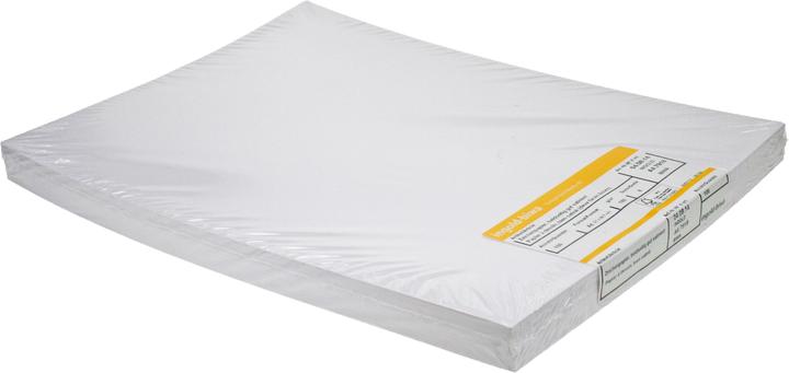 Ingold-Biwa Zeichenpapier