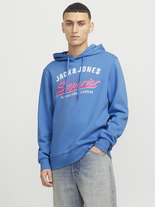 Immagine prodotto Jack & Jones JJELOGO SWEAT HOOD 2 COL 24/25 NOOS (XS)