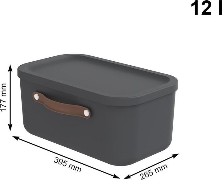 Actual product image Rotho Aufbewahrungsbox 12 l MALOJA (12 l)