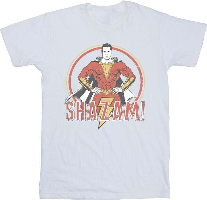 Actual product image Mens Shazam Retro Circle Distressed T-Shirt (XL)