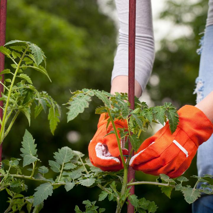 Actual product image Relaxdays 4x vacuum bag
