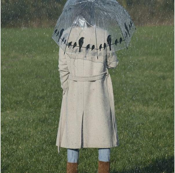 Immagine prodotto Esschert Design Uccelli