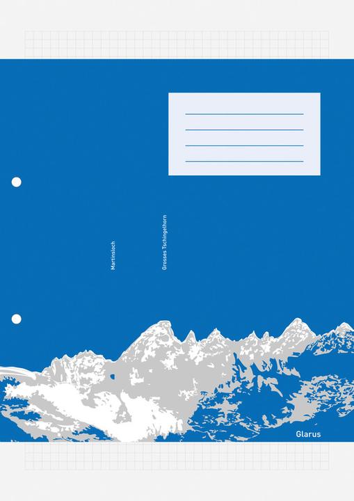 Actual product image Ingold-Biwa Ring binder inserts recycling (A4, Checked)