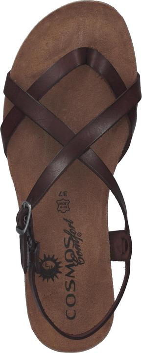 Image du produit Cosmos Comfort Tige d'orteil (36)