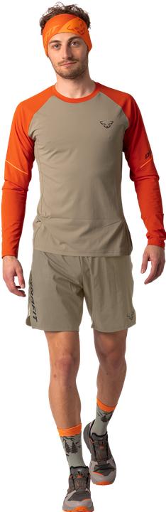 Produktbild Dynafit Alpine Pro Langarmshirt Herren (XXL)