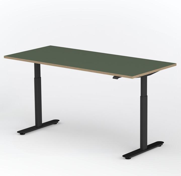 Schwarz-Olive-Holz