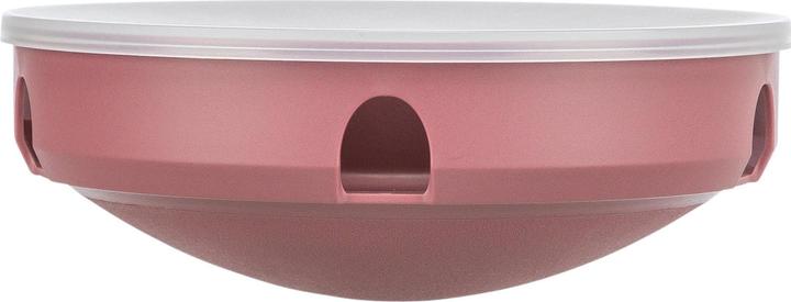 Actual product image Trixie Cat Activity Rocking Maze (Intelligence toy cat)