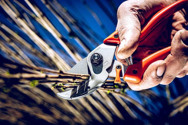 Produktbild Löwe Amboss Gartenschere 8.107