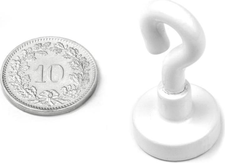Supermagnete Ösenmagnet (3x)