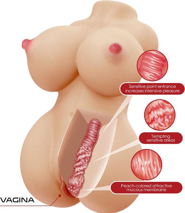 Actual product image Crazy Bull Herta Mini Torso