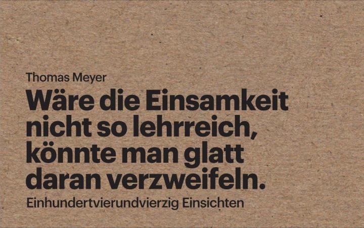 Produktbild Wäre die Einsamkeit nicht so lehrreich, könnte man glatt daran verzweifeln (Deutsch, Thomas Meyer, 2023)