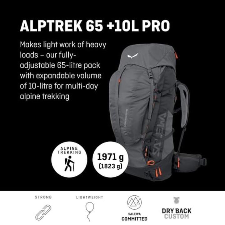 Produktbild Salewa Alptrek + L Pro (65 l)