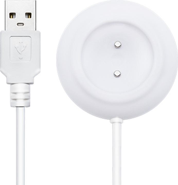 Actual product image Lovense Ambi Magnetisches Ladegerät