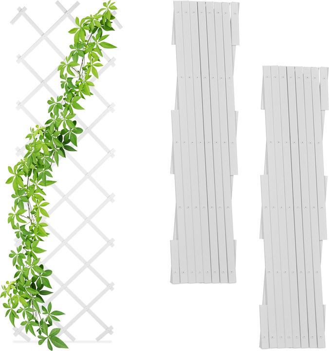Actual product image Relaxdays 3x trellis (2 cm, 60 cm)