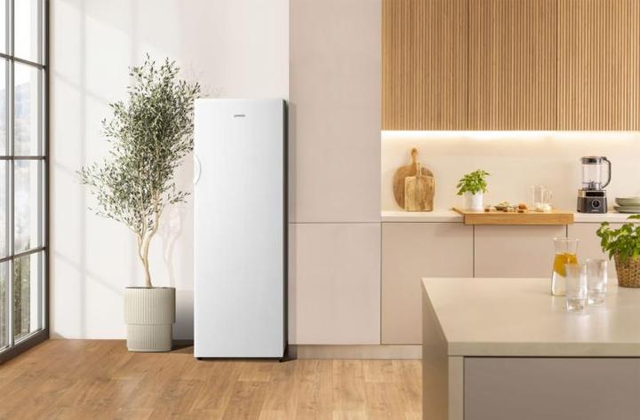 Actual product image Gorenje FN4172CW (Stand-alone, 194 l)