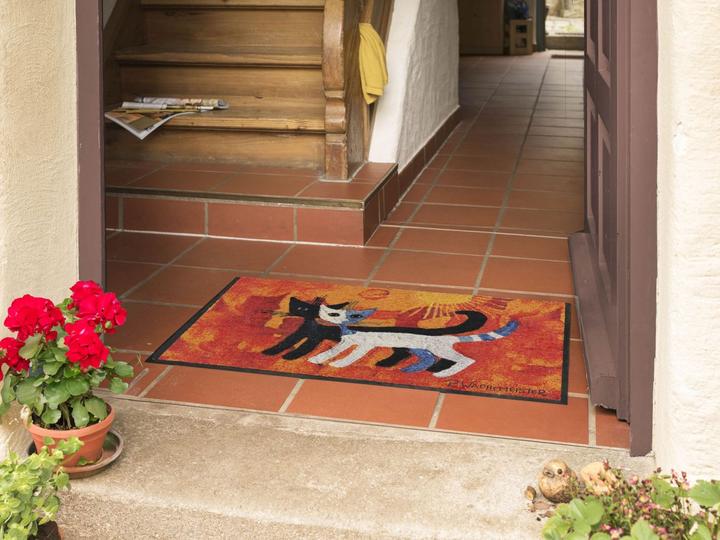 Produktbild Salonloewe Rosina Wachtmeister Fussmatte Terral RW 050x075 cm (75 x 50 cm)