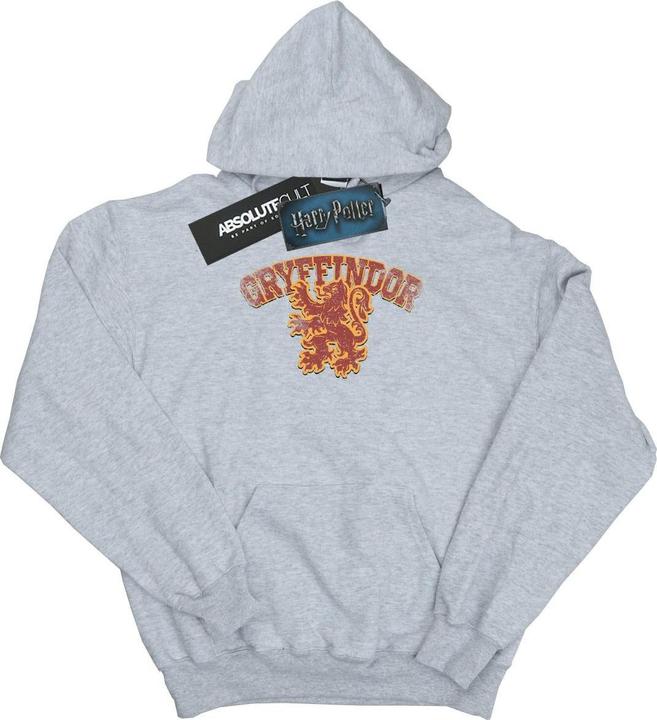 Actual product image Womens/Ladies Gryffindor Sport Emblem Hoodie (XL)