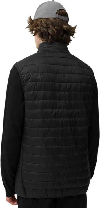 Produktbild 4F Herren Daunenweste Deep Black 4FSS23TDJAM082 20S (M) (M)