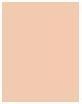 Actual product image Sisley Phyto Cernes Eclat No "1.5 (1.5)
