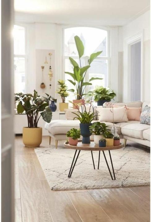 Produktbild Elho Vibes (25 x 23 cm)