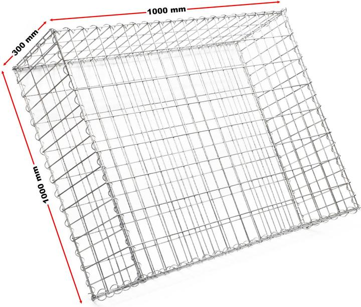 Image du produit Wiltec Gabion 100x100x30cm en treillis métallique Clôture en gabion Mur en gabion Panier en pierre