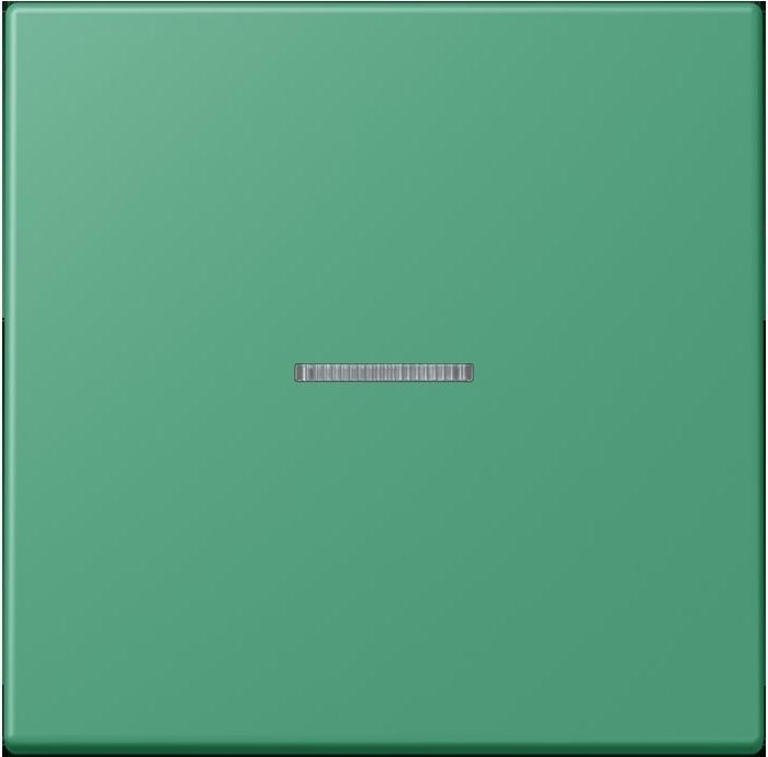 Immagine prodotto JUNG Bilanciere a 1 canale con cavo in fibra ottica