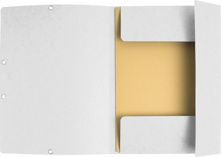 Produktbild Exacompta Sammelmappe mit Gummizug (A4, 425 x)