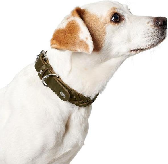 Immagine prodotto Hunter Collare Solido Educazione Speciale (33, 34, 35, 36, 37, 38, Cane, Sport cane)