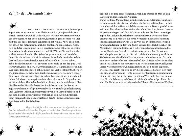 Produktbild Alles, was Sie schon immer übers Gärtnern wissen wollten (Deutsch, Gabriella Pape, 2017)
