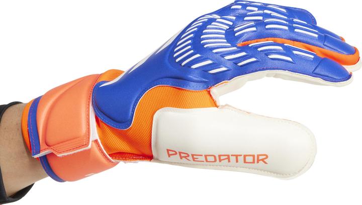 Produktbild Adidas Predator Goalkeeper Gloves Match (10, 10.5)