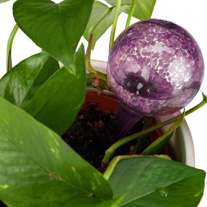 Actual product image Relaxdays Watering Globes Set of 2 (Irrigation balls)