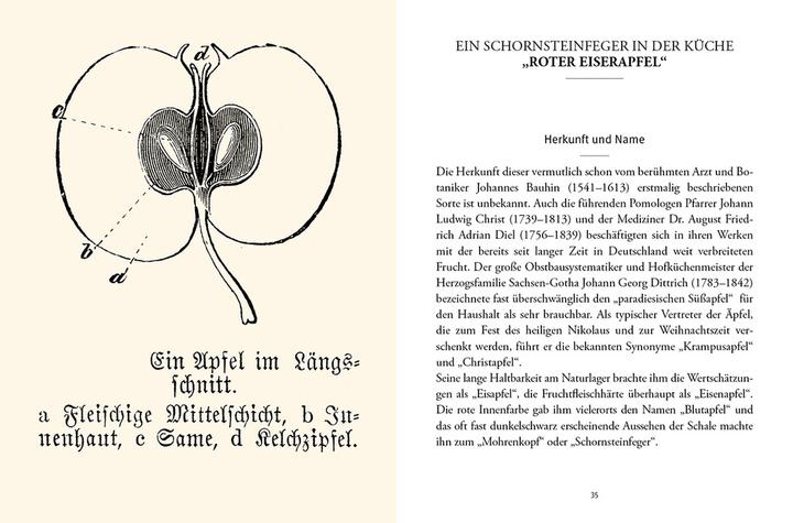Produktbild Alte Obstsorten in der Küche (Deutsch, Bernhard Iglhauser, 2014)