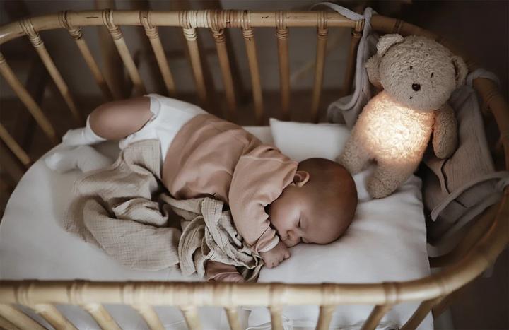 Produktbild Moonie The organic Humming Bear with Lamp Rose 2.0