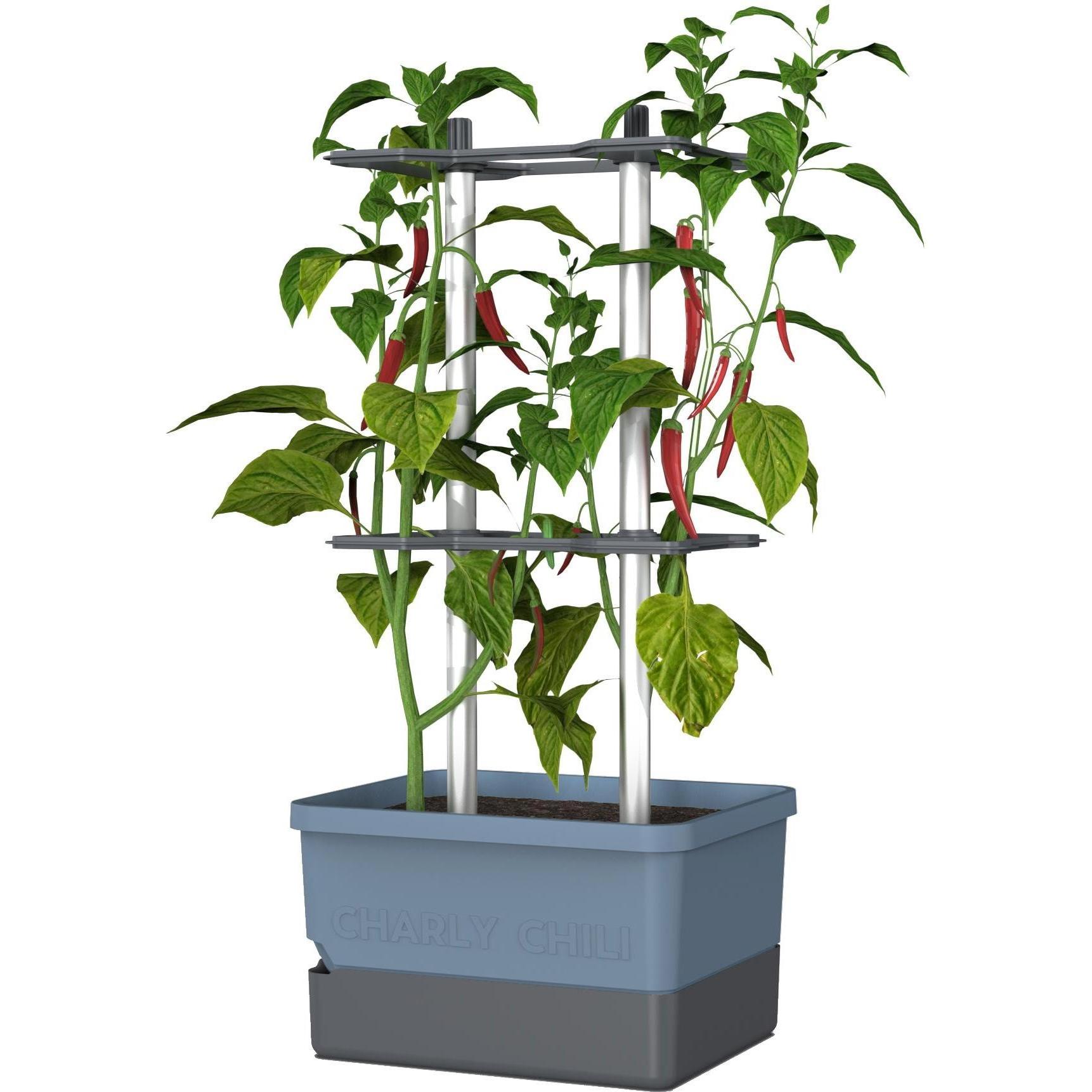 Thumbnail - Gusta Garden, Blumentopf, Charly Chili (35 cm)