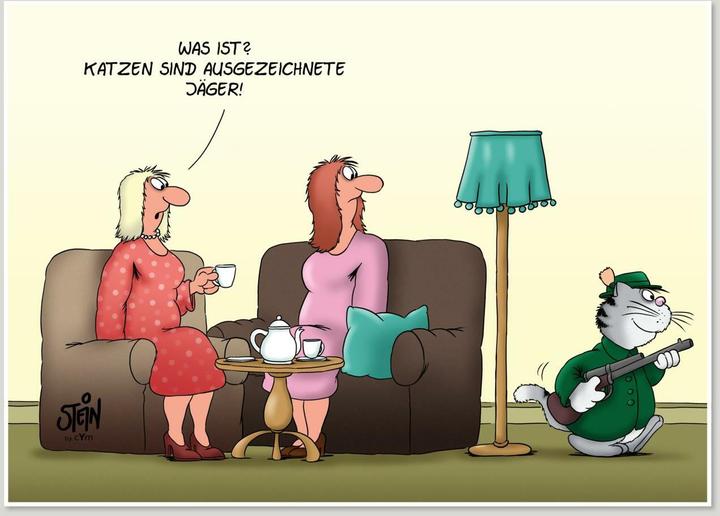 Produktbild Stein:Alles für die Katz(e) (Uli Stein (Deutsch, Uli Stein, 2024)