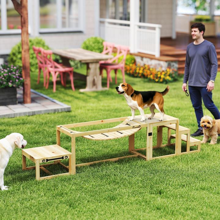 Produktbild PawHut Hunde Agility Set Tannenholz Naturholz (Agility)