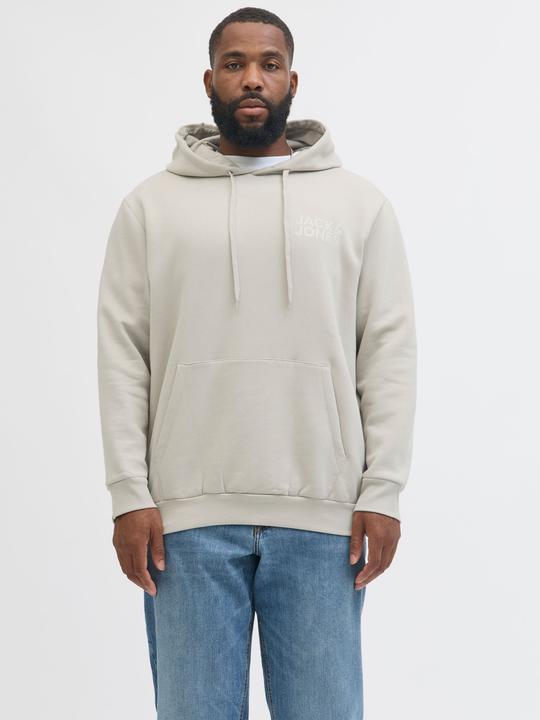Immagine prodotto Jack & Jones Jjecorp Logo Sweat Hood Noos Pls (4XL)