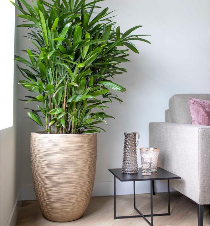 Produktbild Capi Wylder (34 x 46 cm)